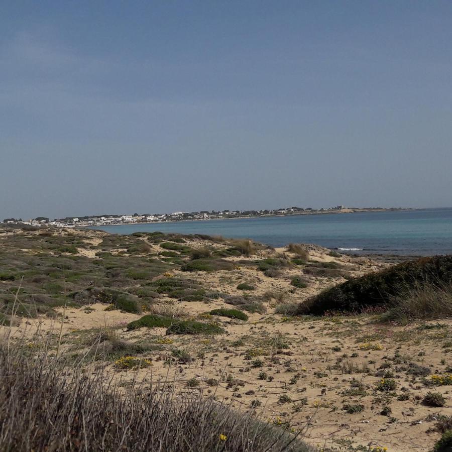 B&B Letizia Marina di Lizzano Kültér fotó