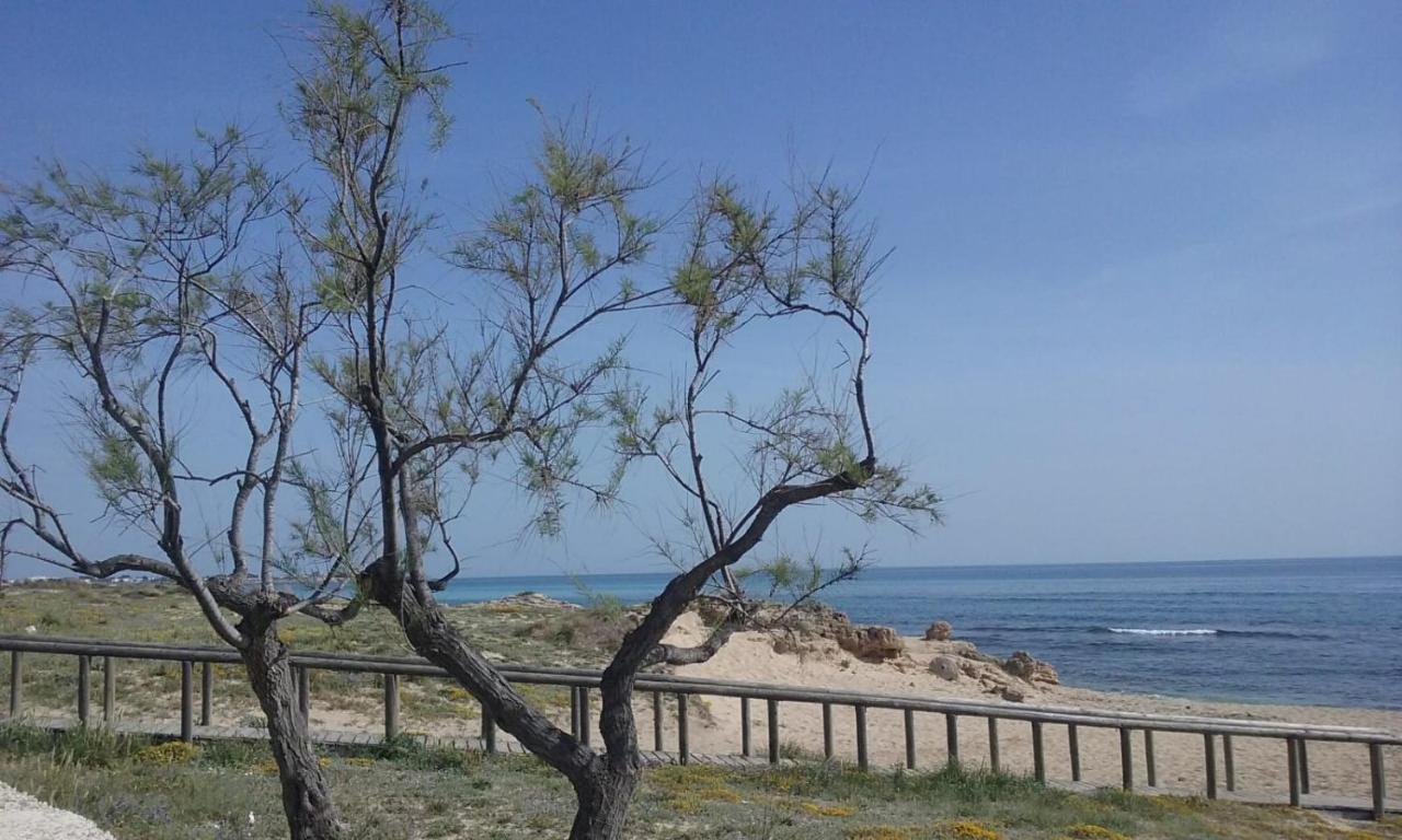 B&B Letizia Marina di Lizzano Kültér fotó